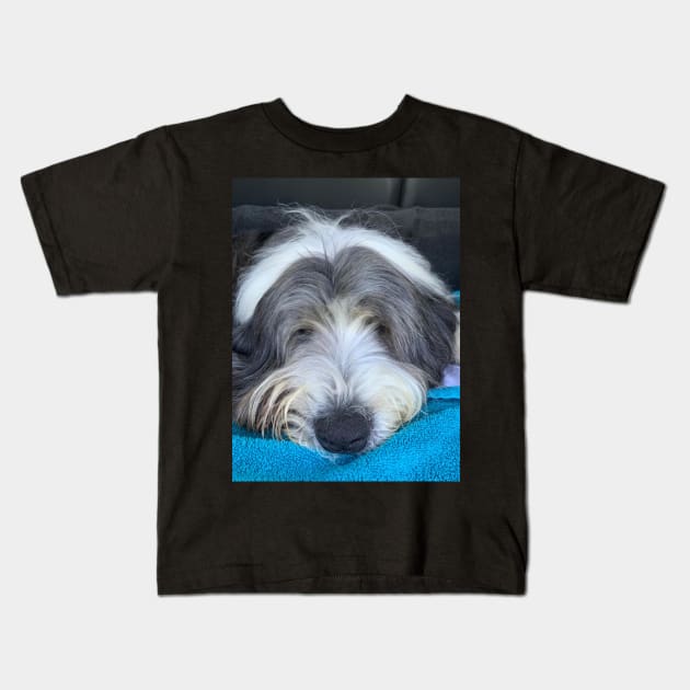 Bearded Collie - Chilled, Calm and Cute Beardie Kids T-Shirt by Bucklandcrafts